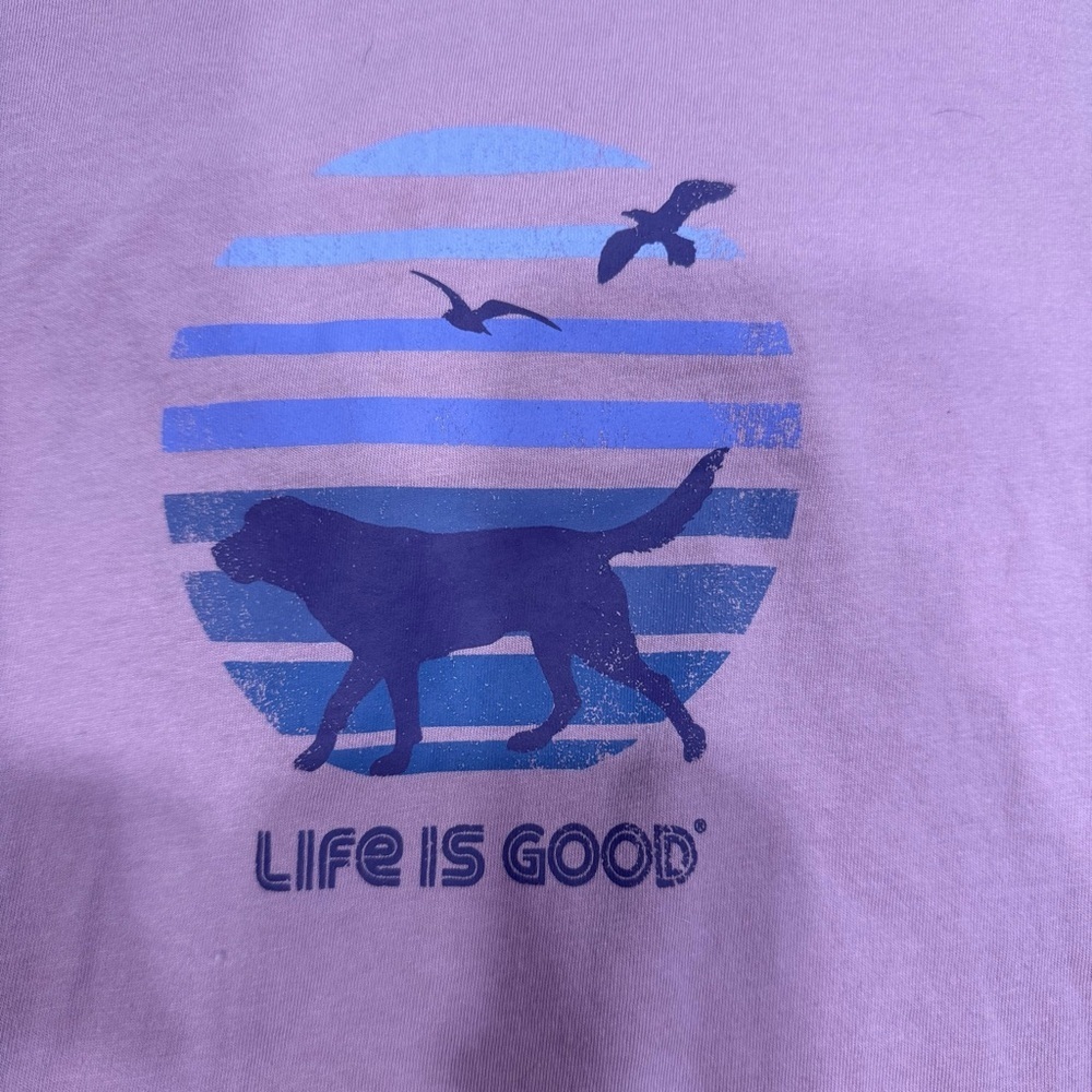 Life Is Good Crusher Light Lavender T-Shirt with hood